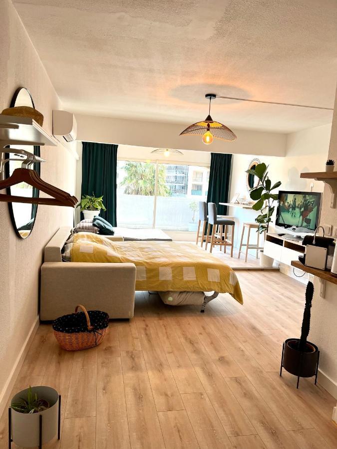 Le Sud Plage Et Piscine Gassin Eksteriør billede